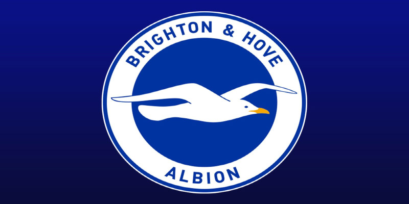 Brighton FC: From Shadows to Premier League Glory